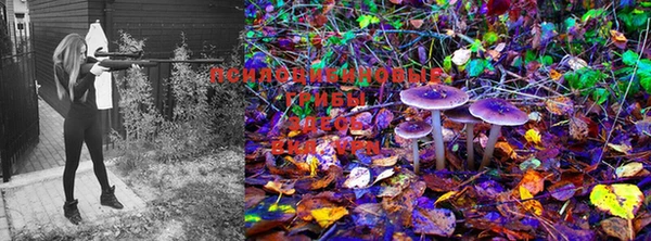 марки lsd Белокуриха